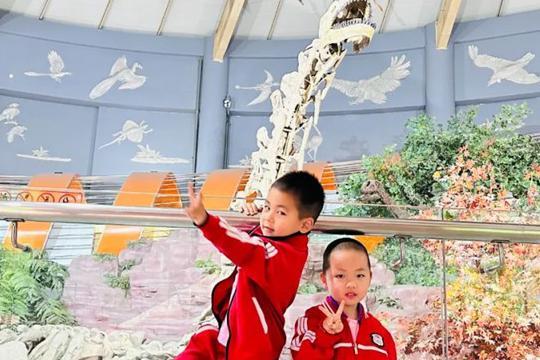 冯特西悦城幼儿园河南自然博物馆研学