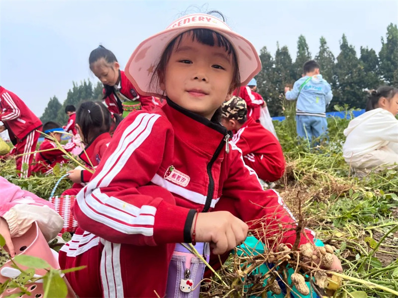 港区冯特幼儿园户外拓展：品秋收之乐，务劳动之美！