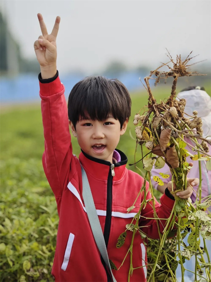 港区冯特幼儿园户外拓展：品秋收之乐，务劳动之美！