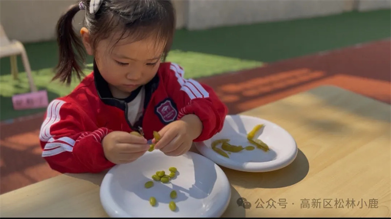 郑州市高新区松林小鹿幼儿园“慧”自理“悦”成长自理能力大赛