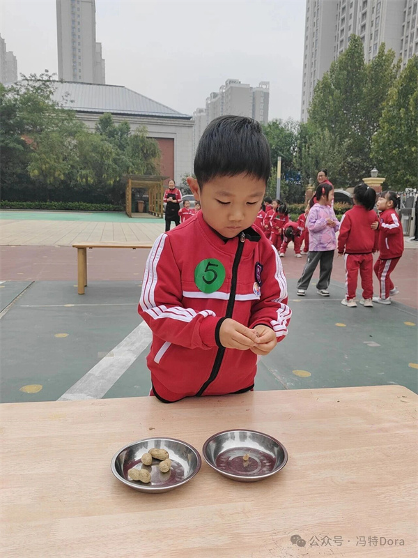 高新区冯特幼儿园-自理小能手,快乐显身手 高新区冯特幼儿园-自理小能手,快乐显身手